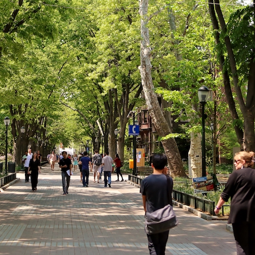 Students on Locust Walk