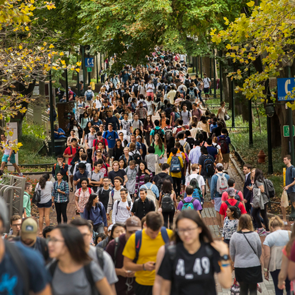 Students walk along Locust Walk