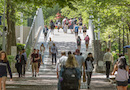 Locust Walk