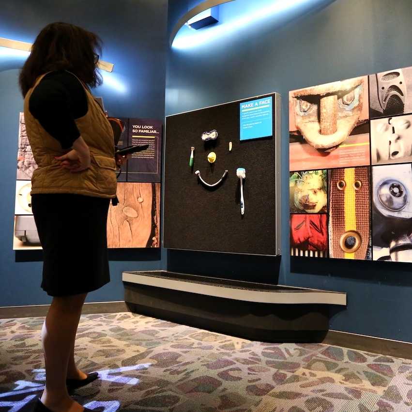 A person views an exhibit at the Franklin Institute science museum, where Penn GSE students intern. 