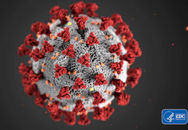 An image of a COVID-19 virus.