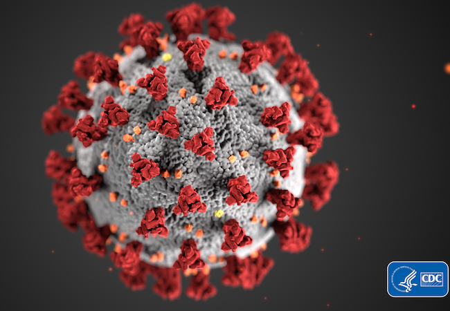 A COVID-19 virus. 