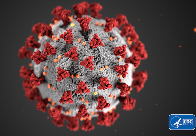 A COVID-19 virus.
