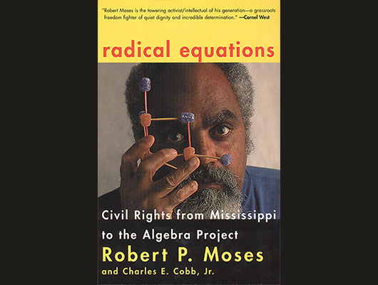 Book cover for Radical Equations