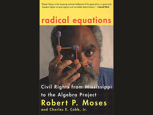 Book cover for Radical Equations