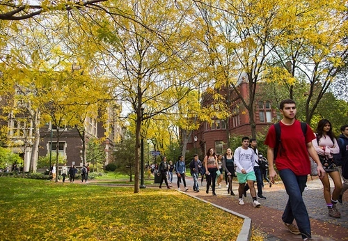 Students walking on campus in autumn surrounded by yellow fall leaves.