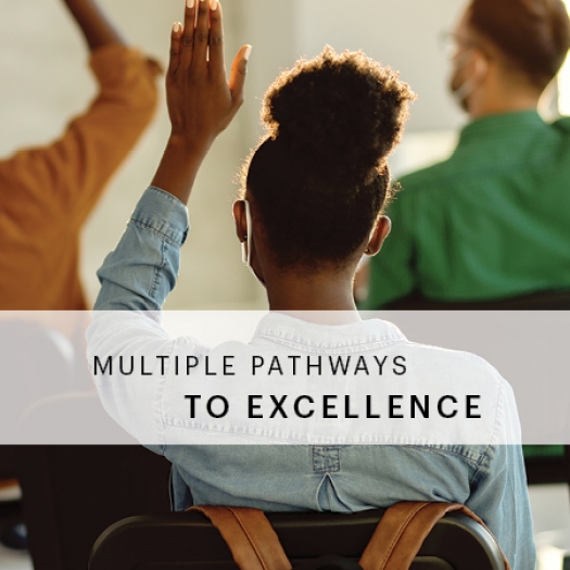 A view behind several students in a classroom, each with a raised hand. Text reads “Multiple Pathways to Excellence.”