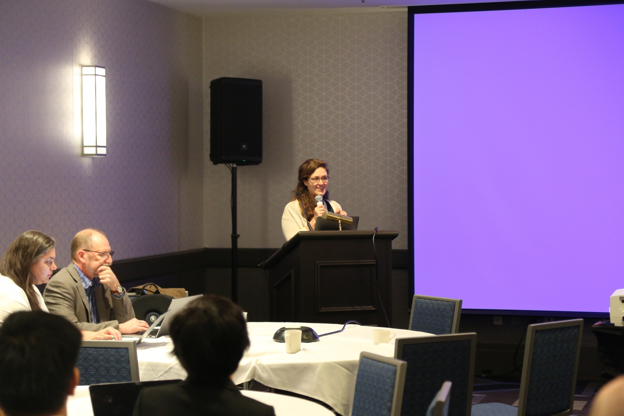 <span>Amanda Barany speaks into a microphone in front of a crowd at ICQE.</span>